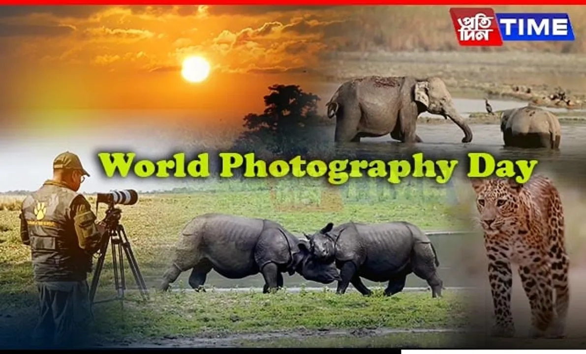 World Photography Day: How Kaziranga National Park Inspires Photographers